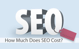 TechLiberate-How-much-does-the-SEO-cost?